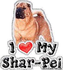 Dog Lovers Shar Pei picture
