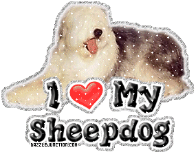Dog Lovers Sheepdog picture