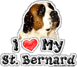Dog Lovers St Bernard picture