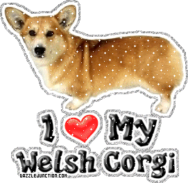 Dog Lovers Welsh Corgi picture