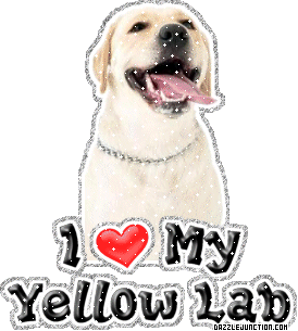 Dog Lovers Yellow Lab picture