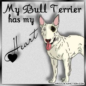 Pets Bull Terrier Heart quote