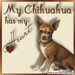 Pet Lovers Chihuahua Heart picture