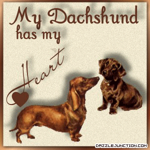 Pet Lovers Dachshund Heart picture