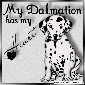 Pet Lovers Dalmation Heart picture
