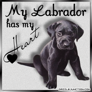 Pet Lovers Labrador Heart picture