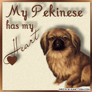 Pet Lovers Pekinese Heart picture