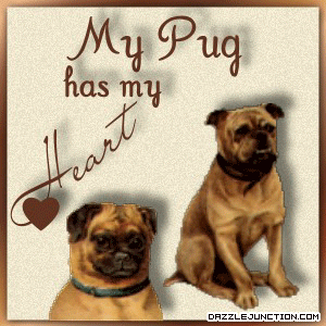 Pet Lovers Pug Heart picture