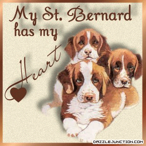Pet Lovers St Bernard Heart picture