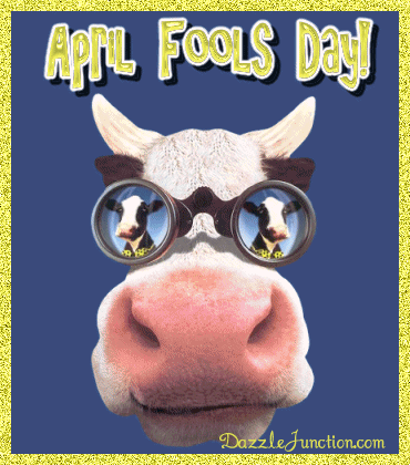 April Fools Cow