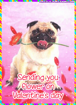 Sending Valentine Flower