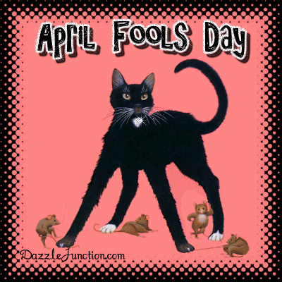 April Fools Day April Fools Black Cat quote