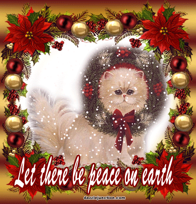 Religious Christmas Peace On Earth Cat picture