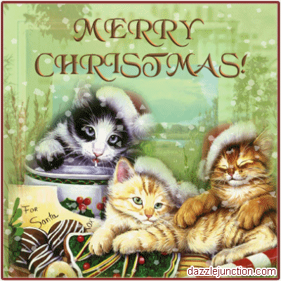 Merry Christmas Christmas Cats picture