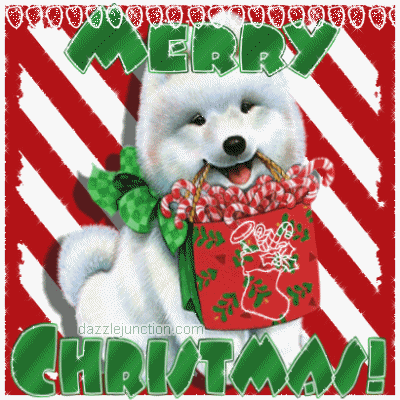 Merry Christmas A Doggie Gift picture