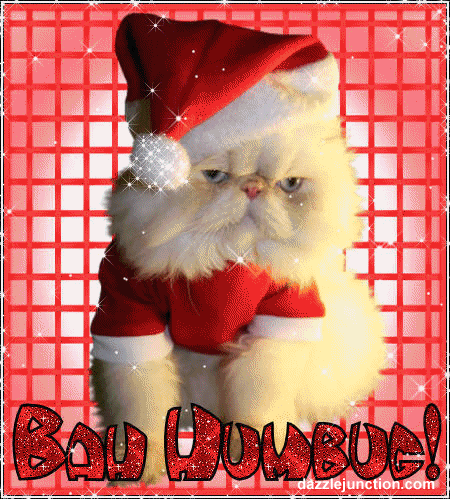 Merry Christmas Bah Humbug Cat picture