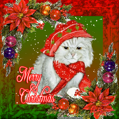 Merry Christmas Cute Christmas Cat picture