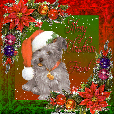 Merry Christmas Cute Dog Christmas picture