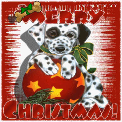 Merry Christmas Dalmation Christmas picture