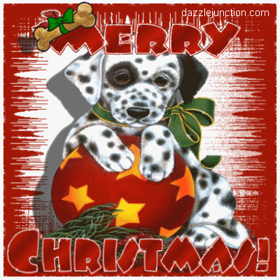 Dalmation Christmas