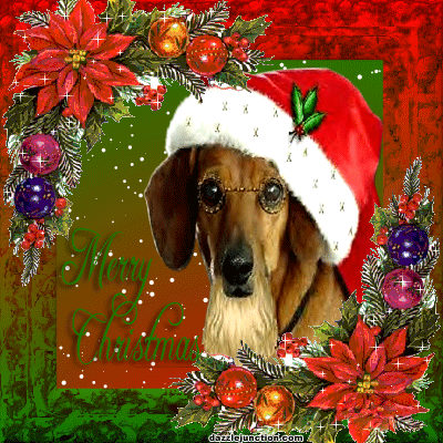 Merry Christmas Dog Cute Christmas picture