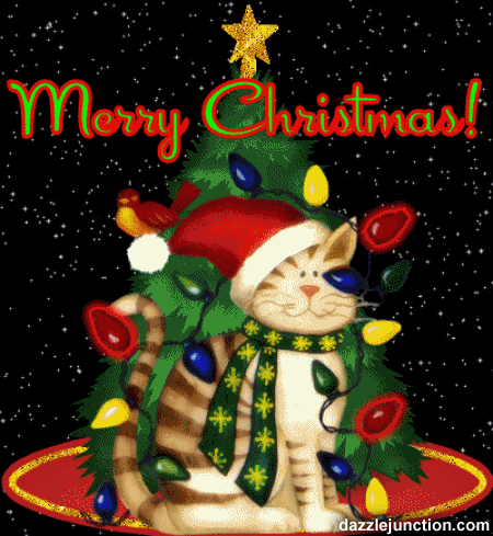Merry Christmas Merry Christmas Cat picture