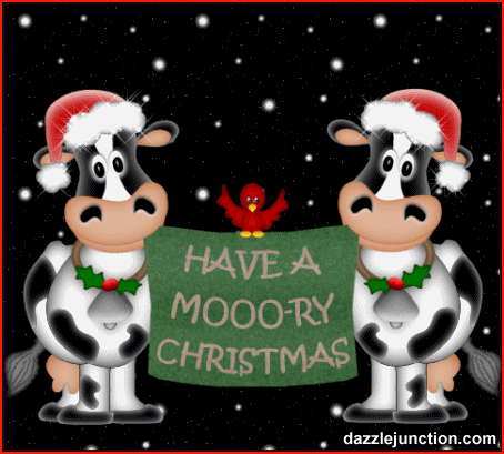 Merry Christmas Mooory Christmas Cows picture