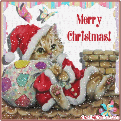 Merry Christmas Santa Cat picture