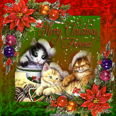 Merry Christmas Three Chirstmas Cats picture