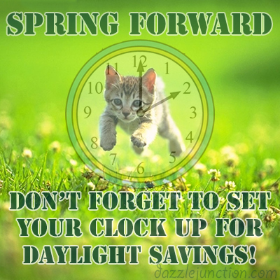Daylight Savings Begins - Spring Forward Spring Forward Cat picture