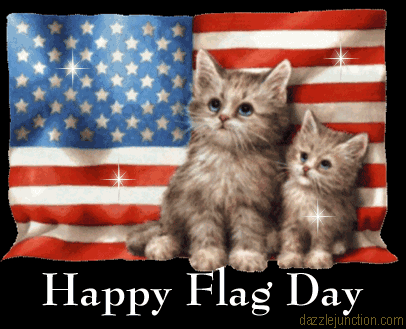 Flag Day Flag Day Cats picture