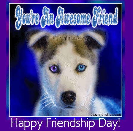 Friendship Day Awesome Friendship Day quote