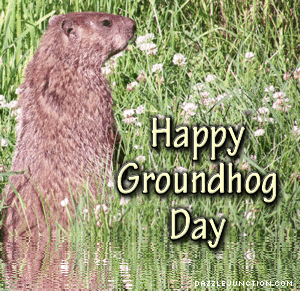 Groundhog Day Happy Groundhog picture