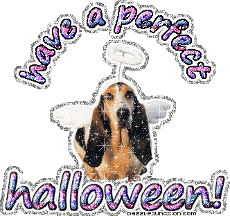 Halloween Dog Perfect