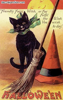 Halloween Cat Broom