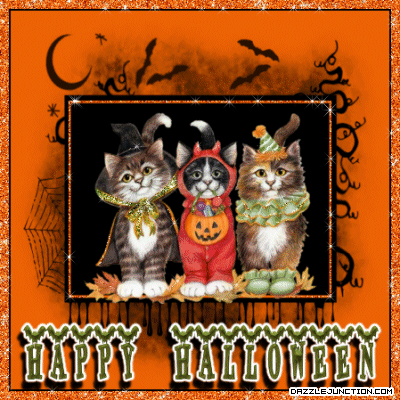 Halloween Halloween Cats picture