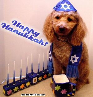 Hanukkah Hanukkah Dog picture