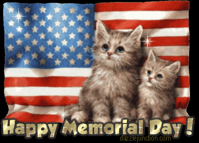 Memorial Day Memorial Day Cats picture