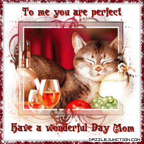 Perfect Mothers Day Cat