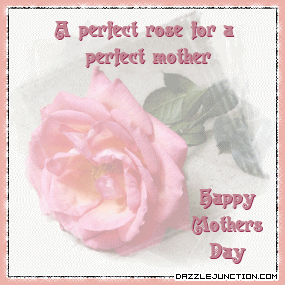 Mothers Day Perfect Rose Mother picture