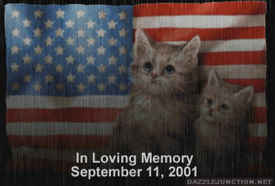 Patriot Day Loving Memory Cat picture