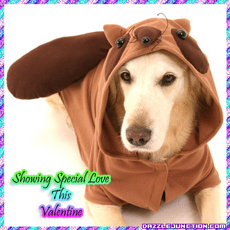 Valentine Animals Dog Showing Love quote