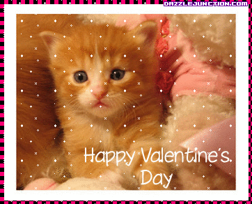 Valentine Animals Valentine Cat picture