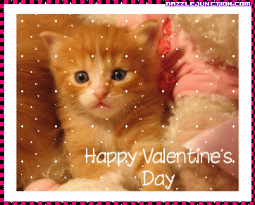 Valentine Cat
