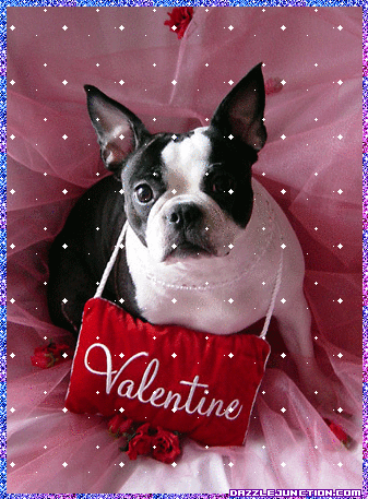 Valentine Animals Valentine Dog picture