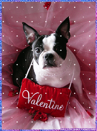 Valentine Dog