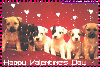 Valentine Animals Valentine Puppies picture