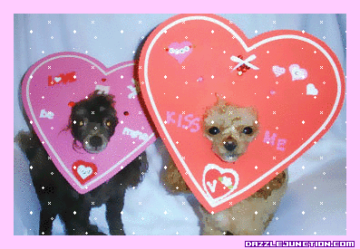Valentine Animals Valentine Pups picture