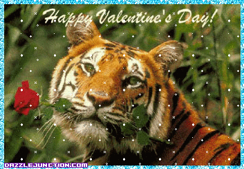 Valentine Animals Valentine Tiger picture