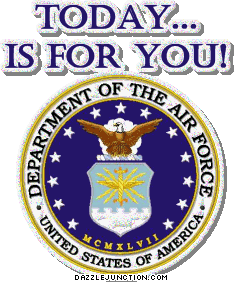 Veterans Day Air Force picture